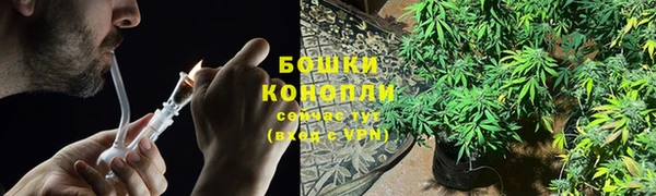 мяу мяу мука Кинешма