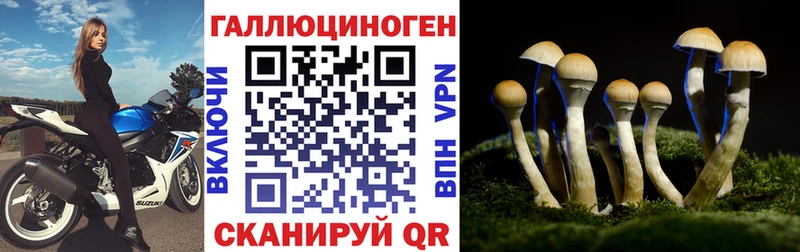 Галлюциногенные грибы мухоморы  blacksprut ССЫЛКА  Усть-Джегута 